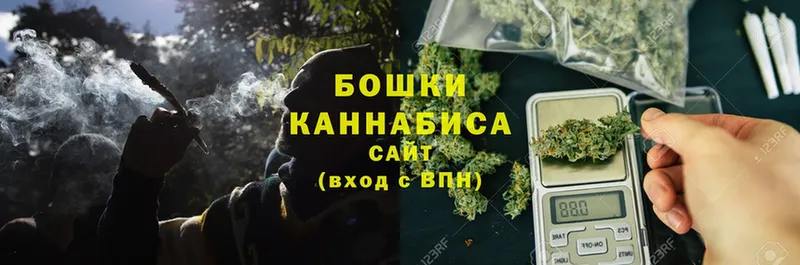 хочу   Камышлов  Марихуана OG Kush 